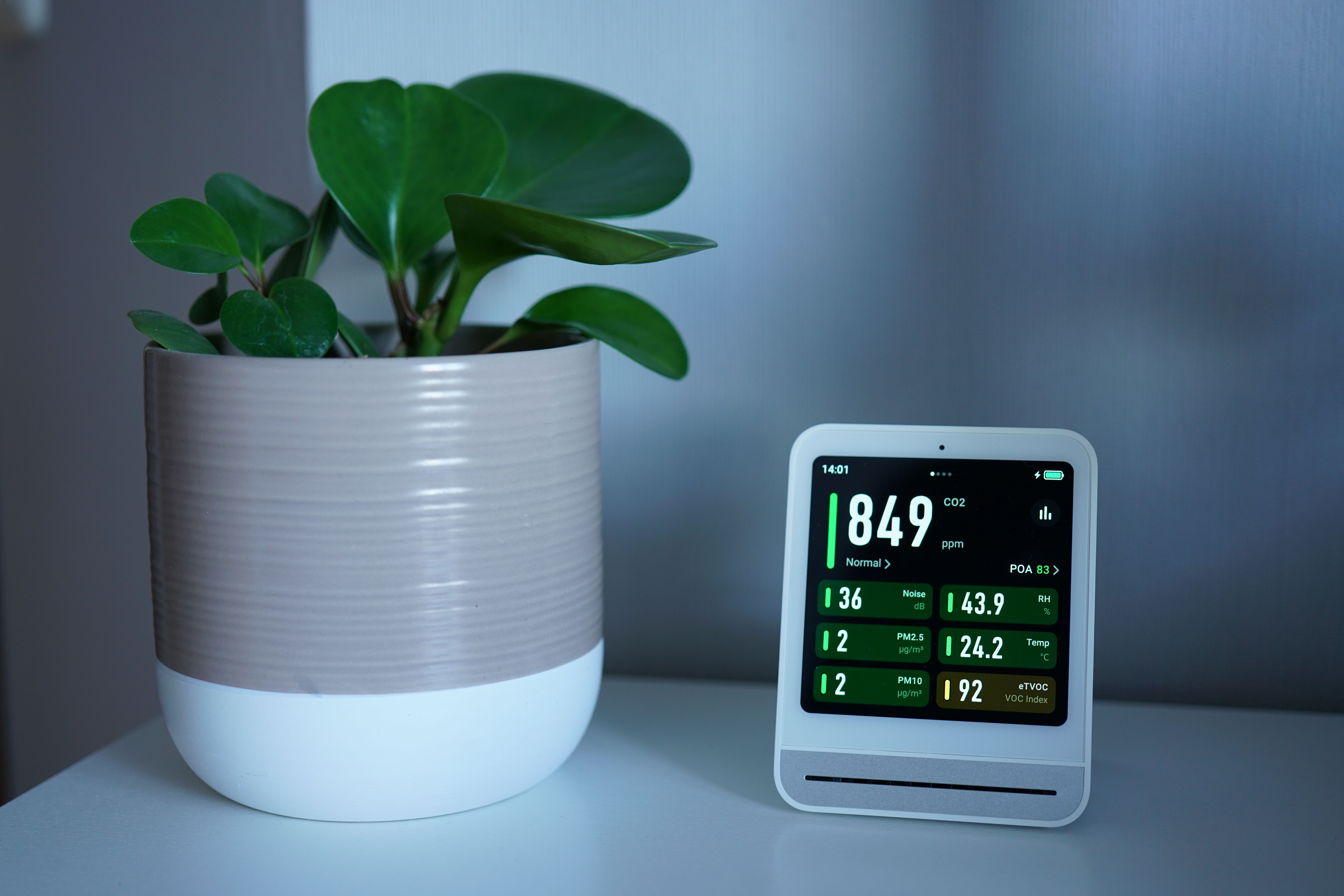 Hygrometer for the Bathroom