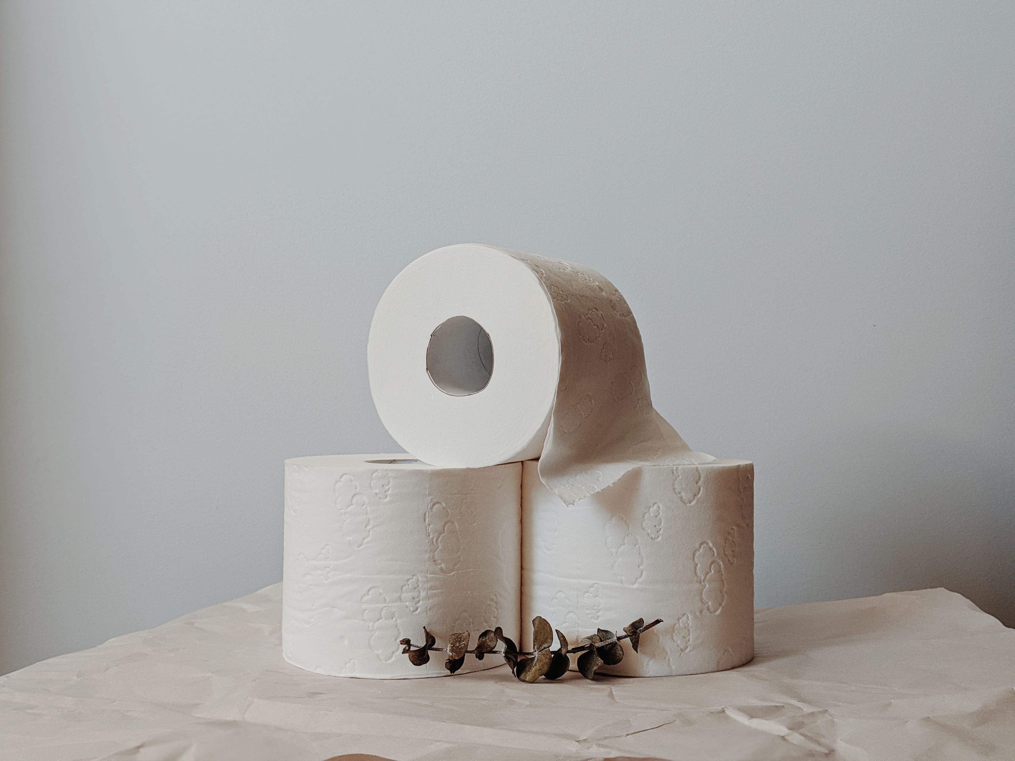 Paper Towels and Toilet Paper