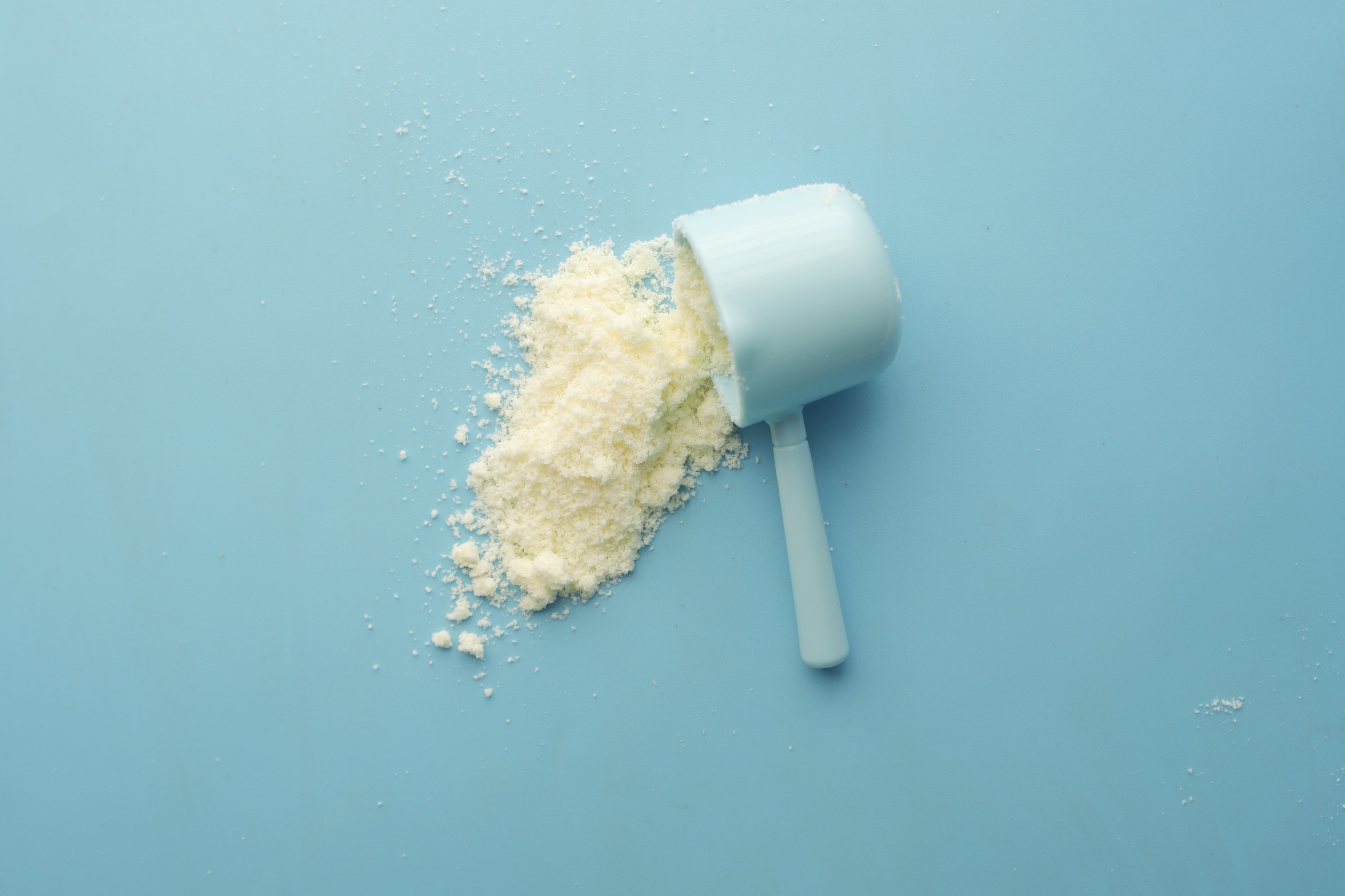 Protein powders