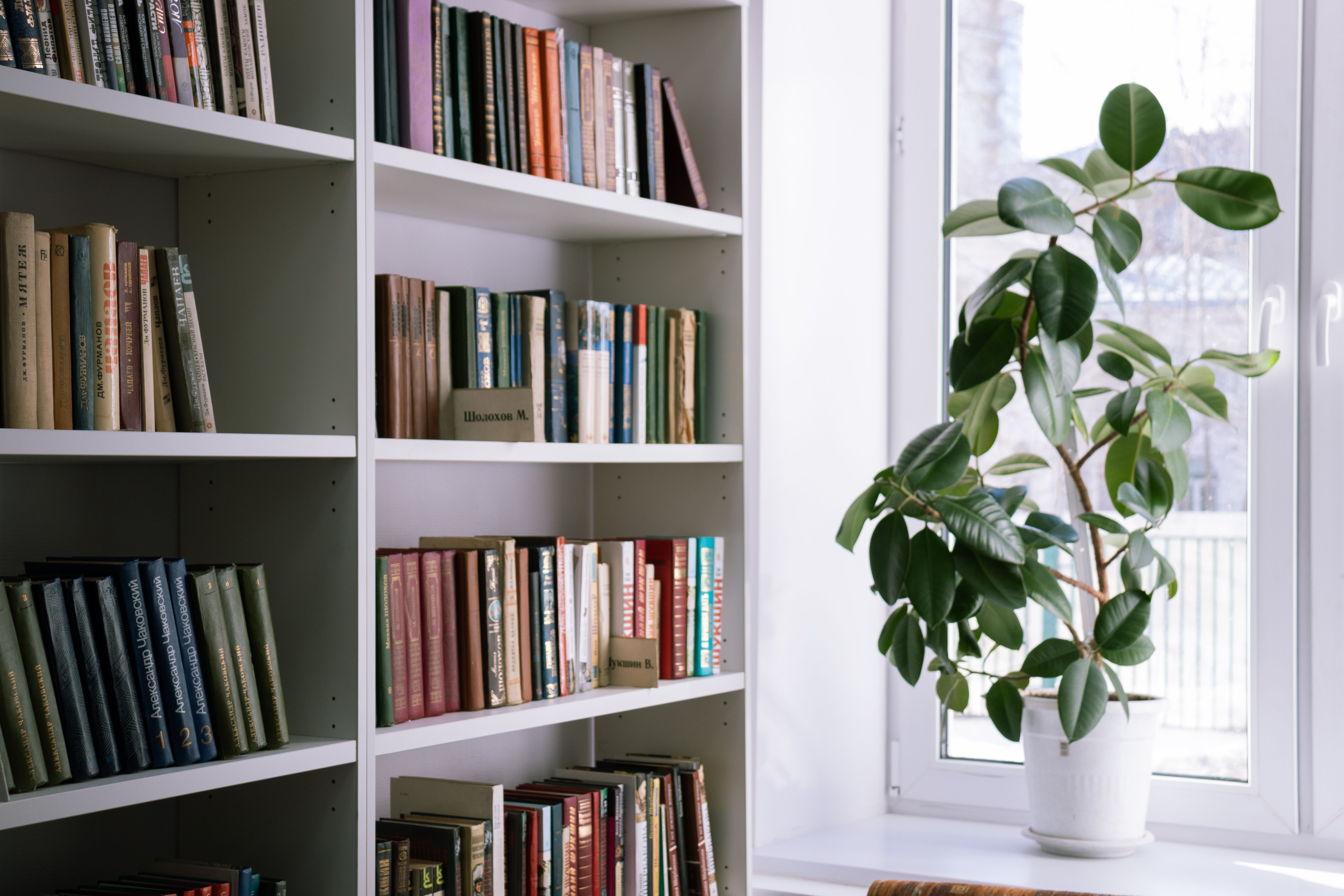Solid wood bookcase