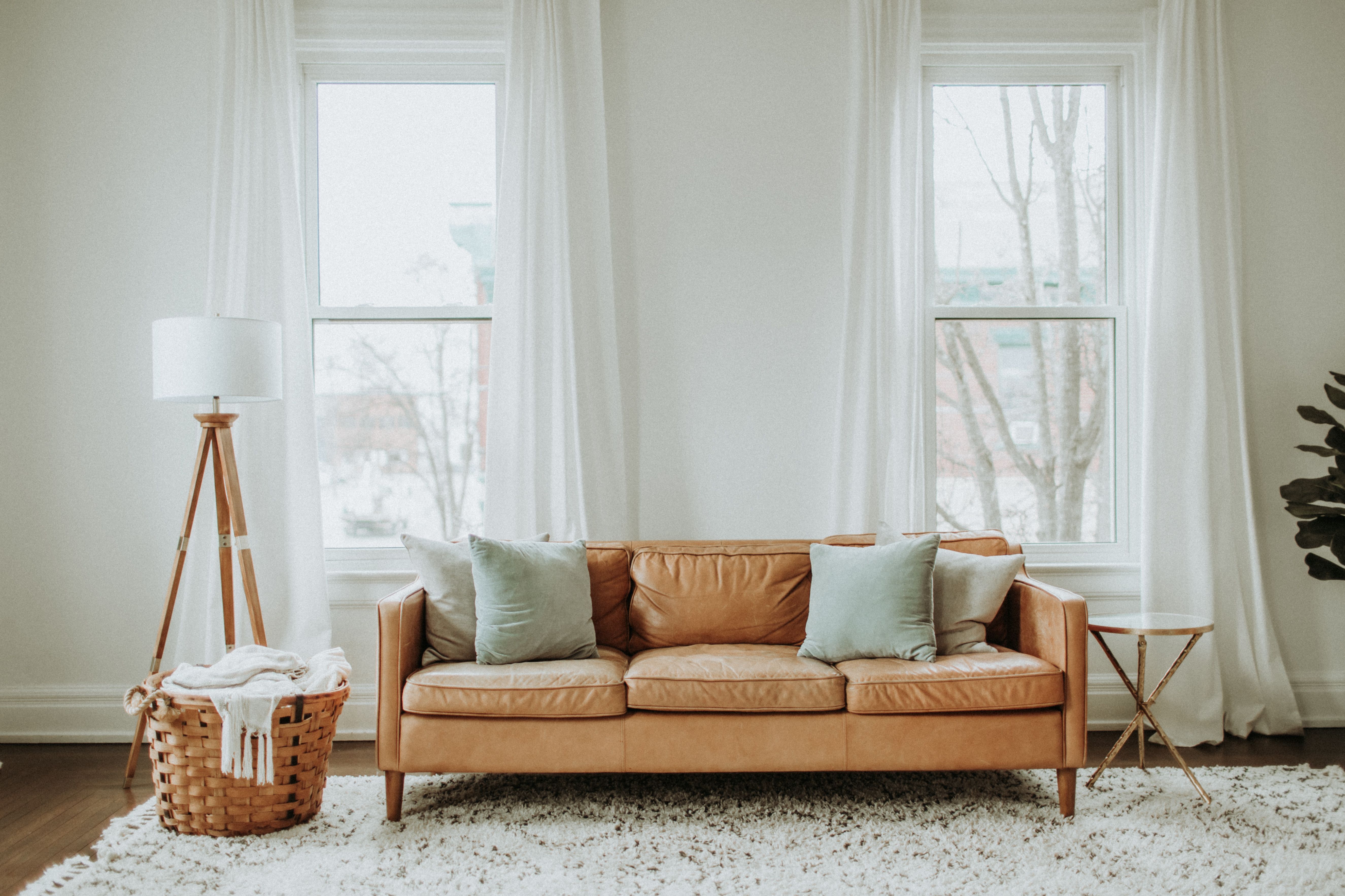 Sofa for the Living Room