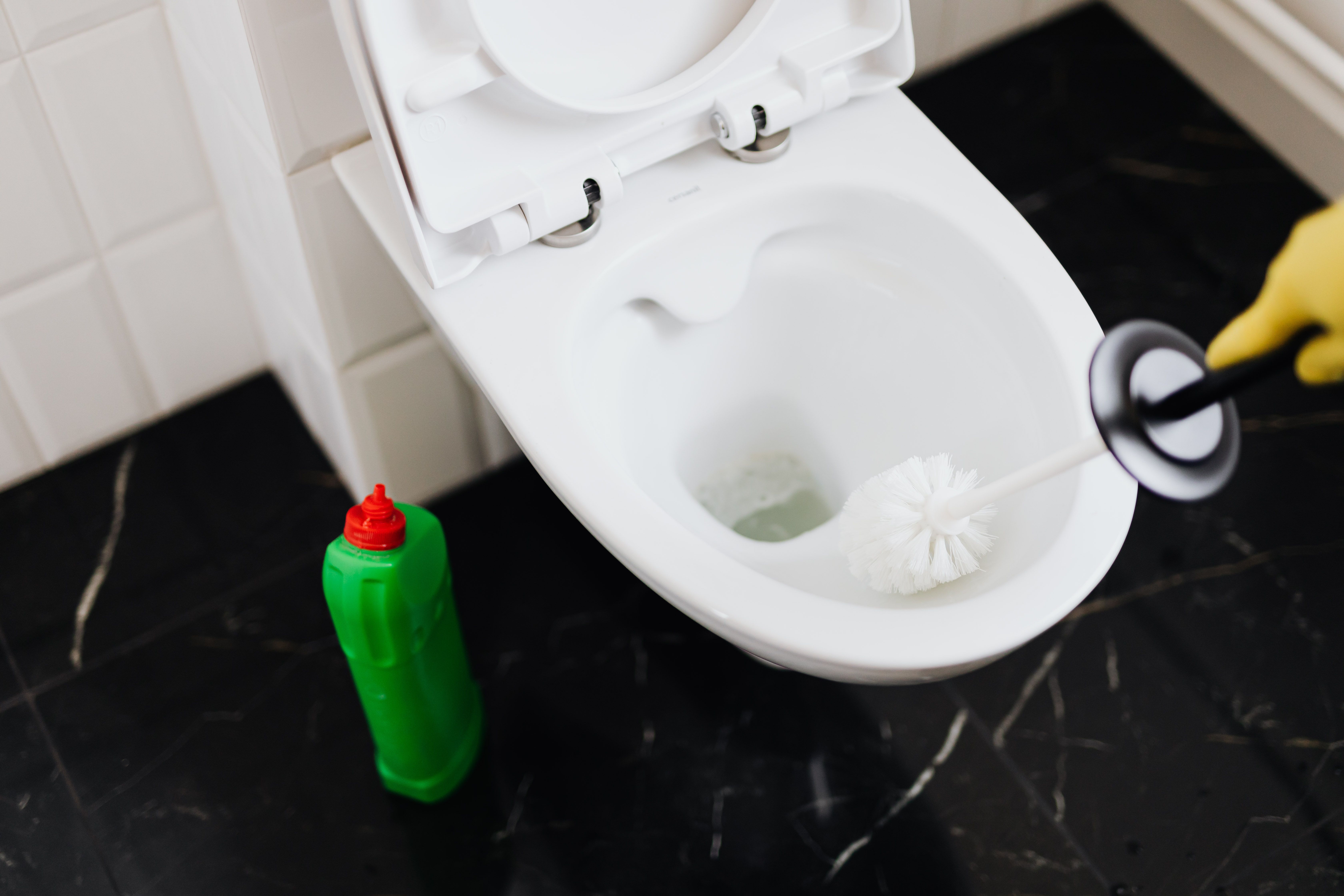 Toilet bowl